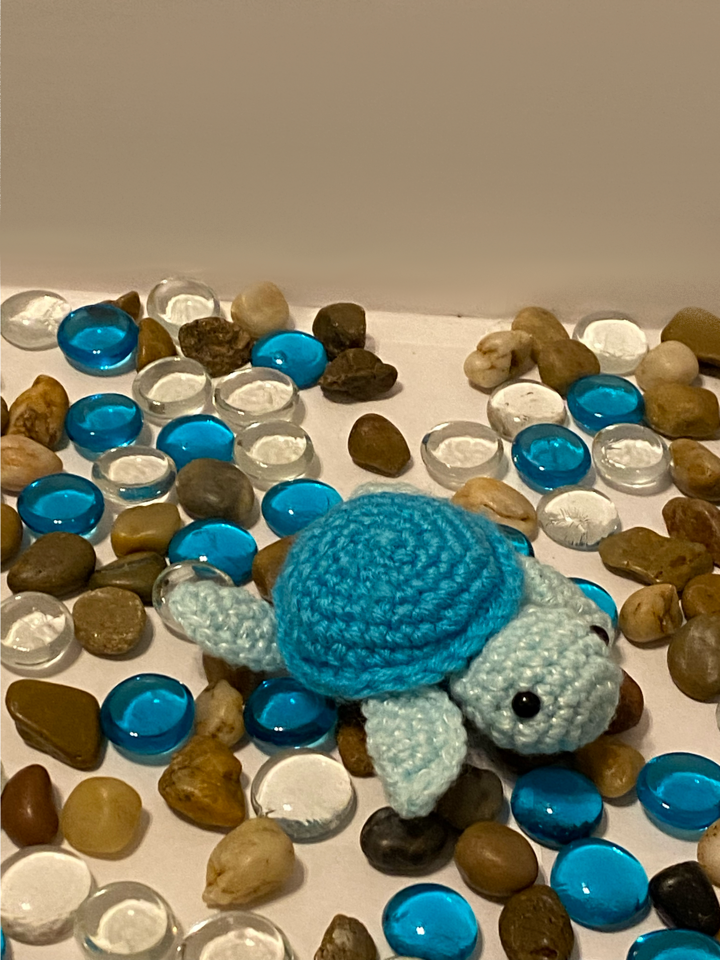 Baby Turtle