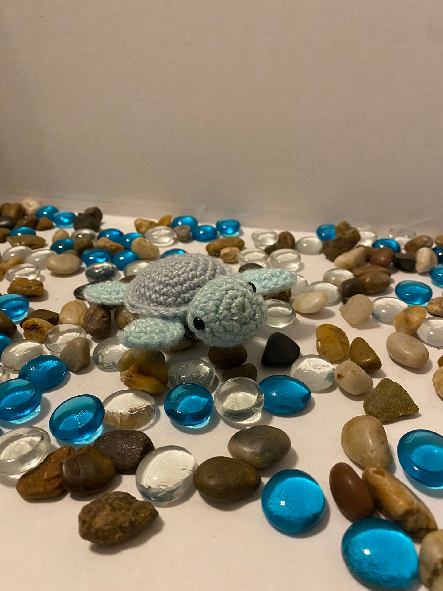 Baby Turtle