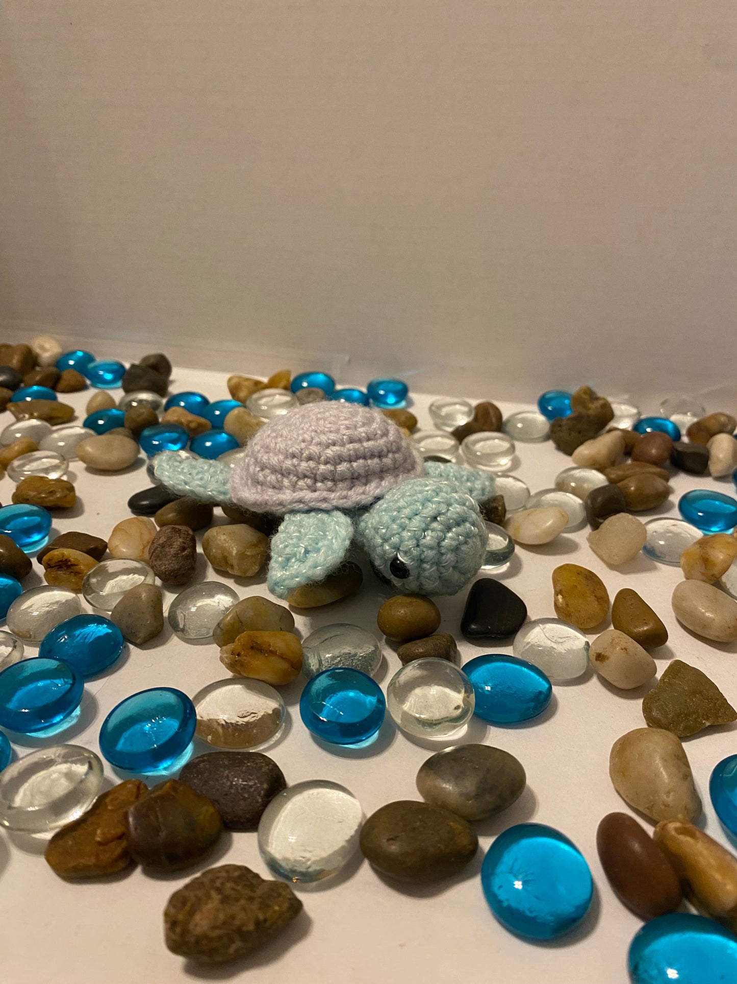 Baby Turtle