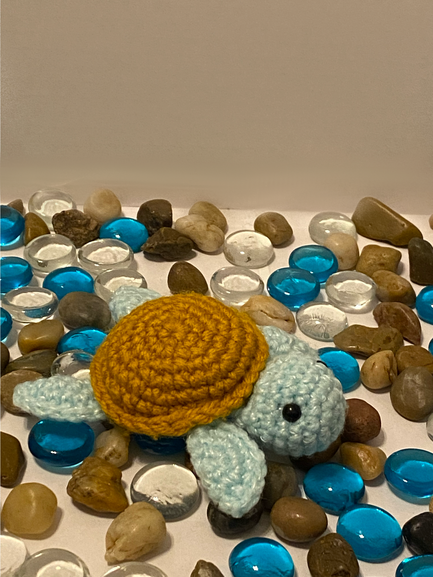 Baby Turtle