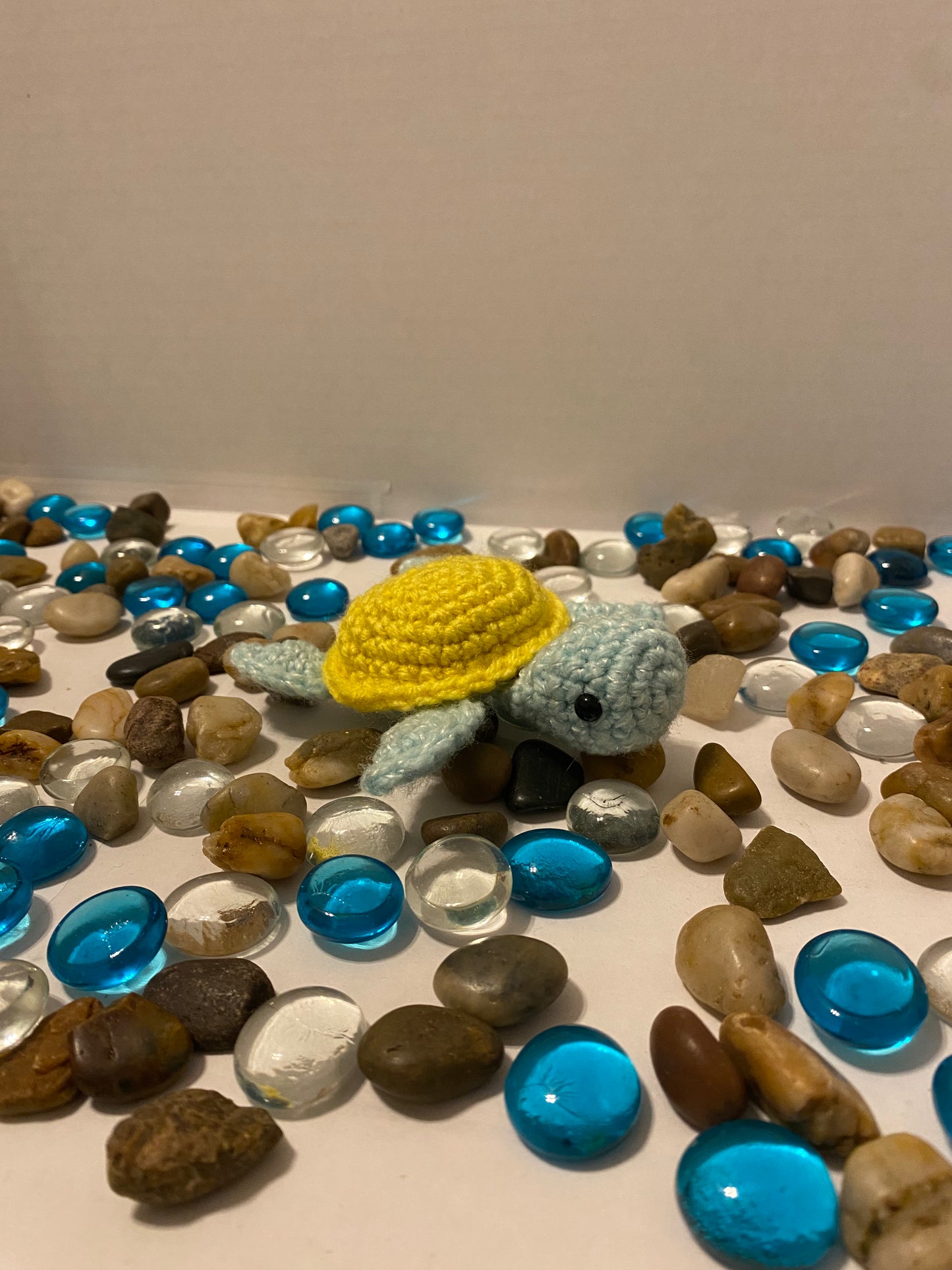 Baby Turtle