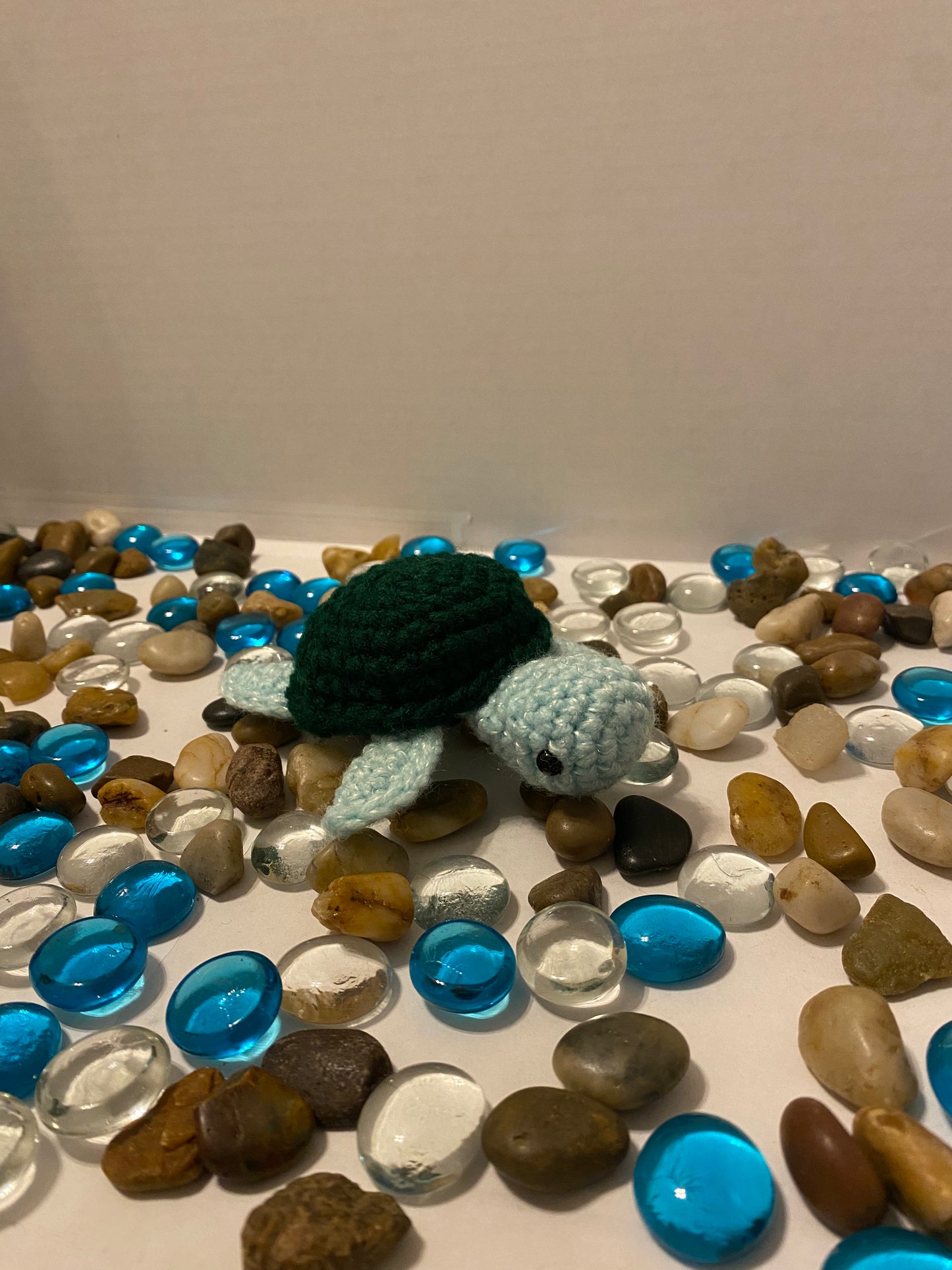 Baby Turtle