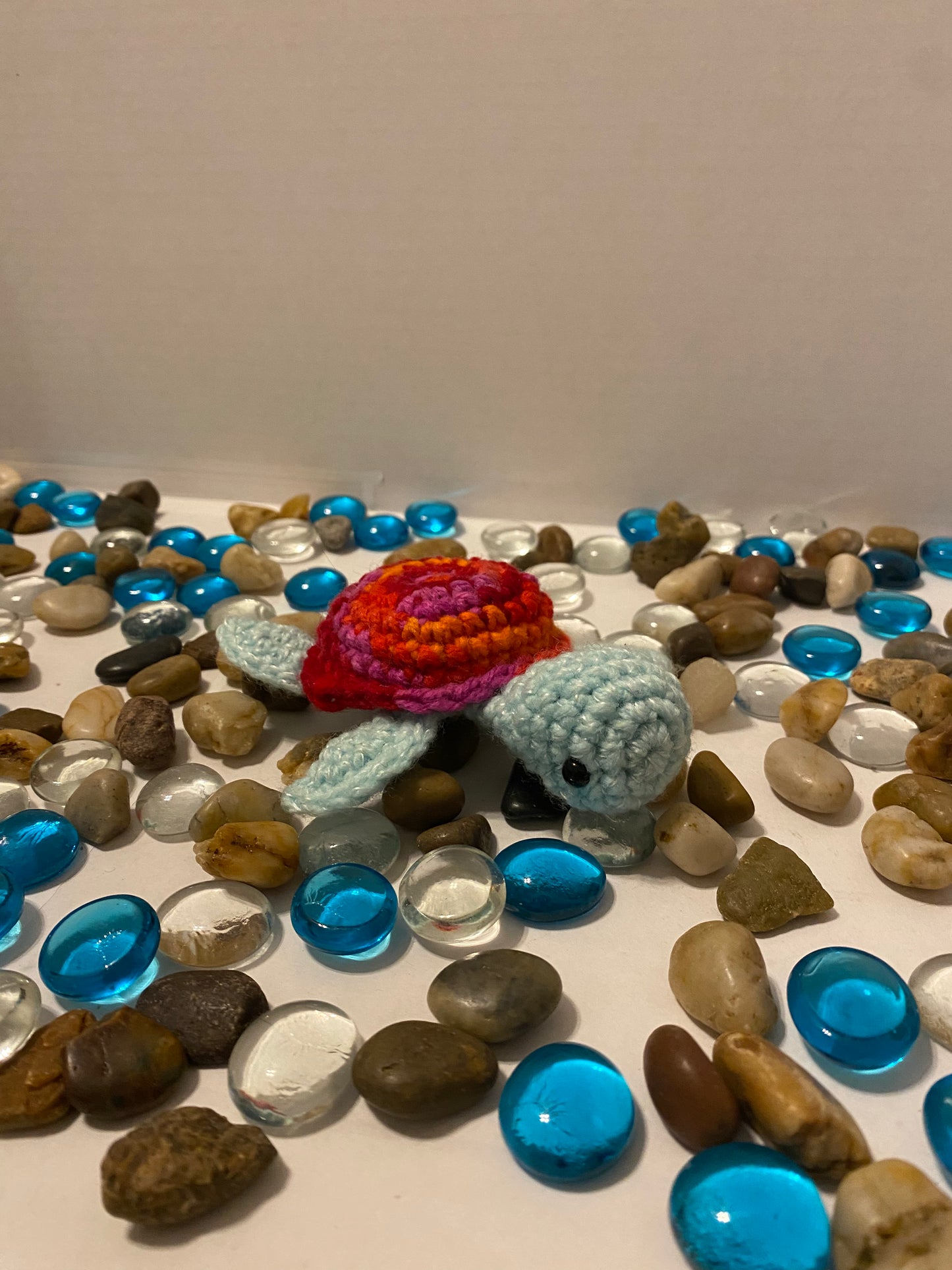 Baby Turtle