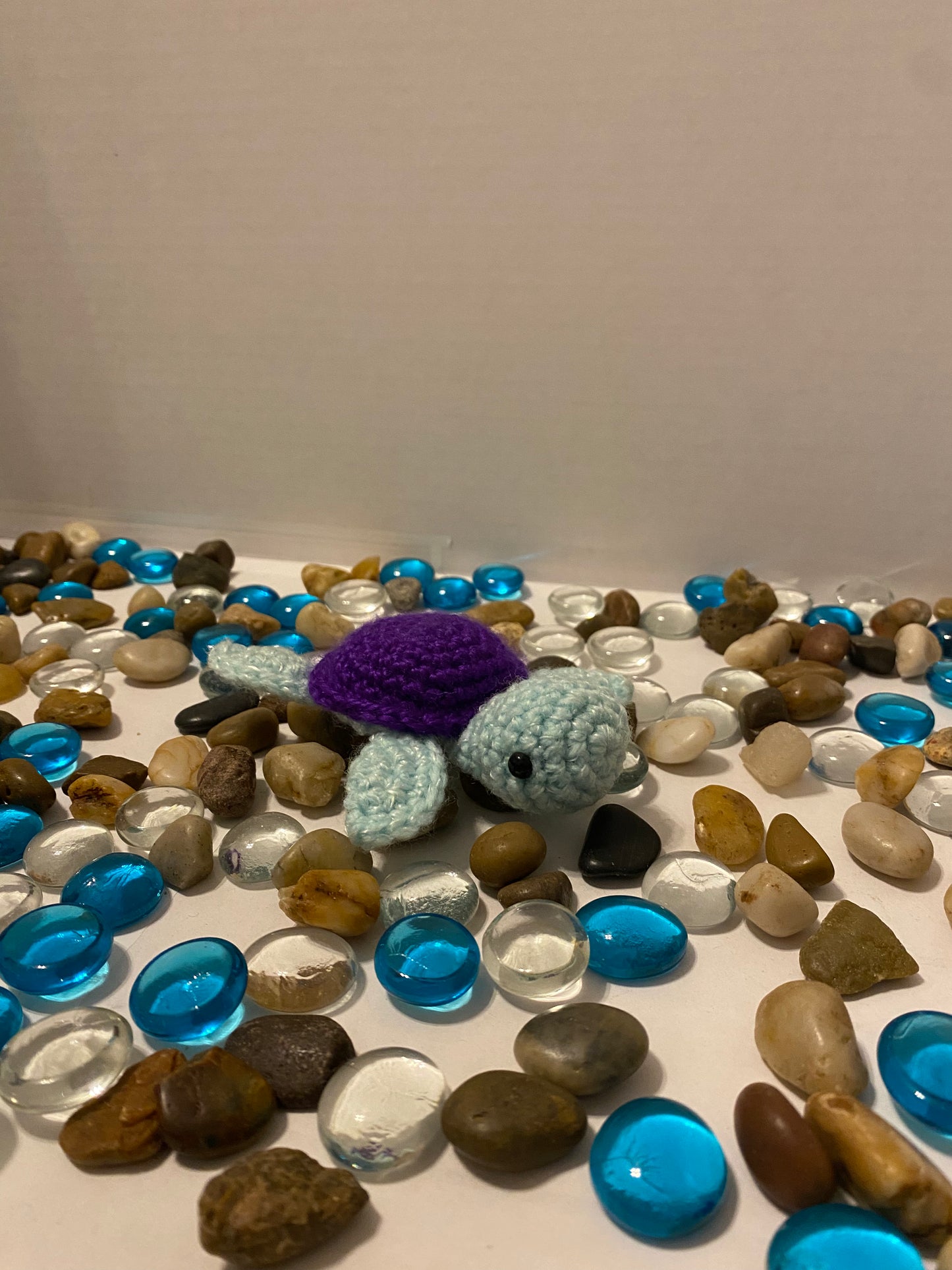 Baby Turtle