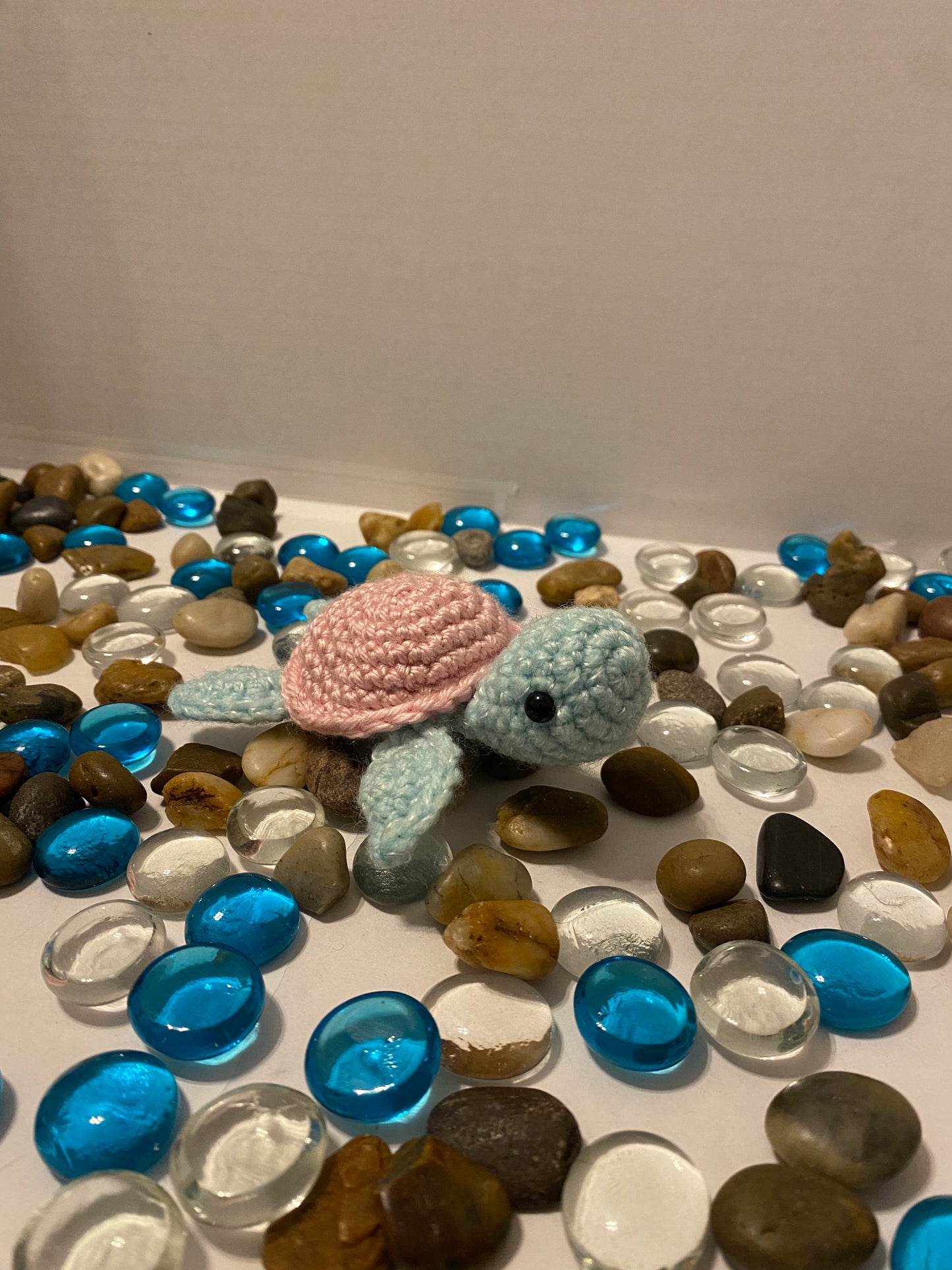 Baby Turtle